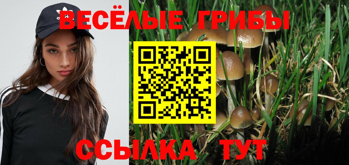 Галлюциногенные грибы Psilocybe Усть-Илимск