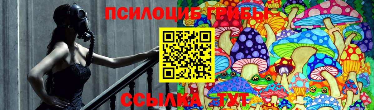 Галлюциногенные грибы прущие грибы  Вход с VPN  Усть-Илимск 